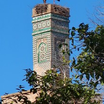 Storks on top of a minaret in the Chellah